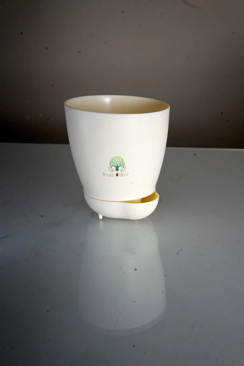 YODA WITH TRAY IVORY 1