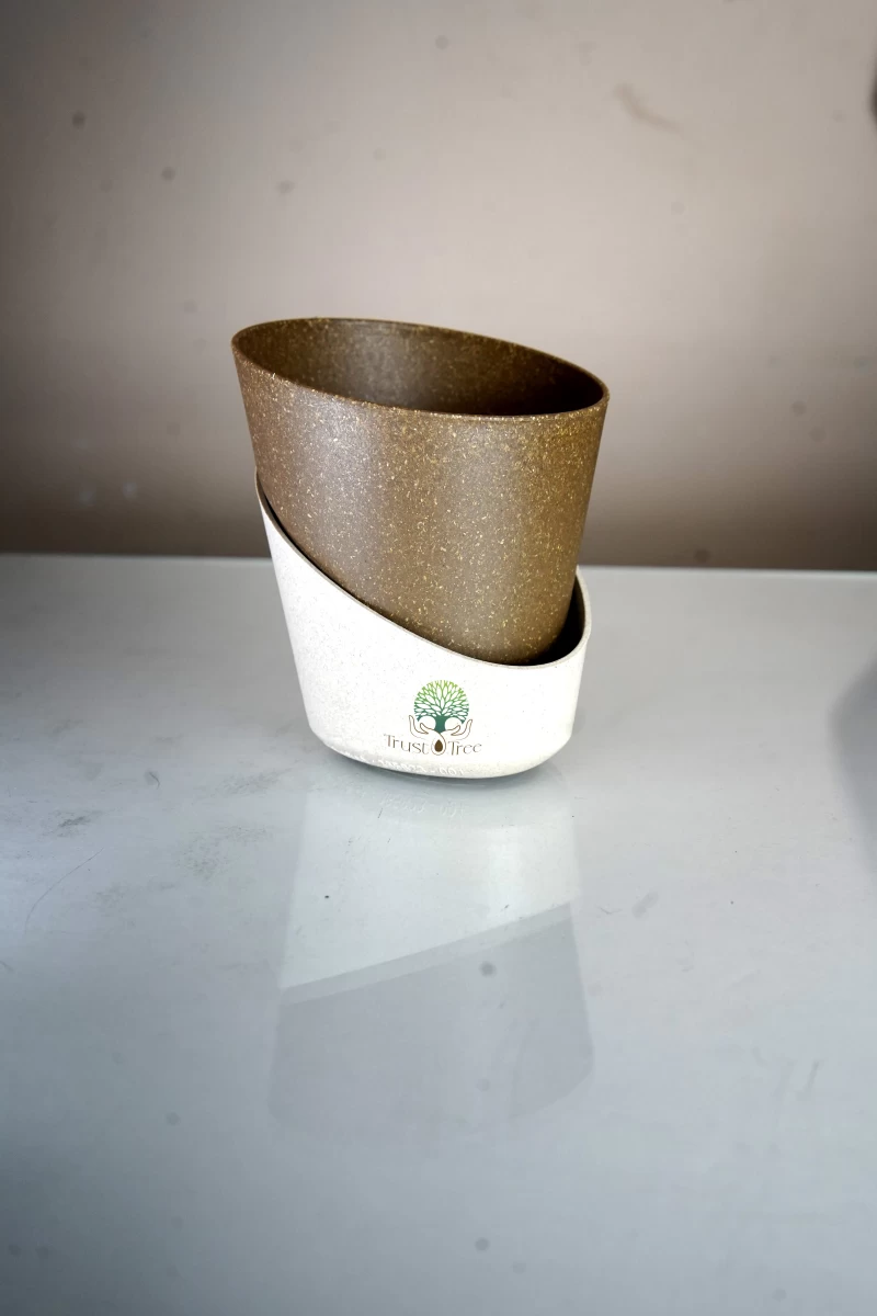ATLANTIS ECO BROWN & CREAM 2